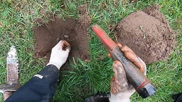 Simplex in the iron!! All metal detectors detect metal.