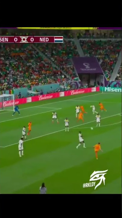 Senegal vs Netherlands 0-1 Highlights Extended All Goals 2022