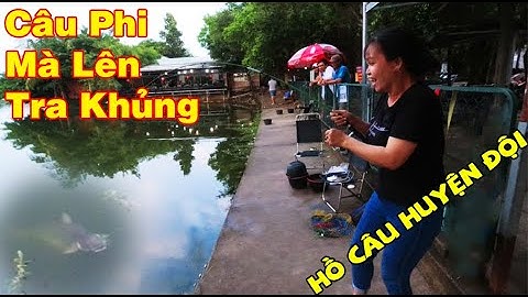 Câu Rô Phi Mà Lên Cá Tra Khủng 7 Kg Hồ Câu Huyện Đội Hóc Môn | Hồ Câu Huyện Đội