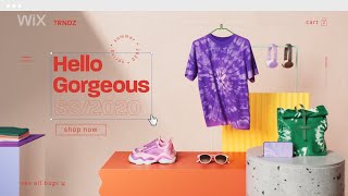 Create an Eye-catching Professional Website | Wix.com screenshot 4