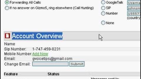 Google Voice Tricks - Forwarding to Skype