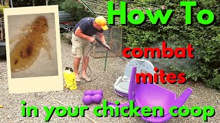 Buying a Second Hand Chicken Coop? WATCH THIS!