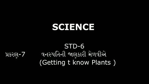 STD 6 7 3 વનસ્પતિની જાણકારી મેળવીએ  -DINESHSIR-LECTURE
