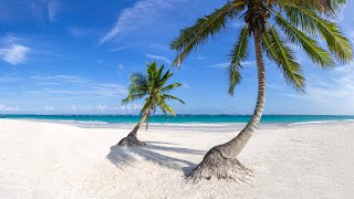 Summer Beach Music with Seaside Bossa Nova & Ocean Waves Sounds for Relaxation