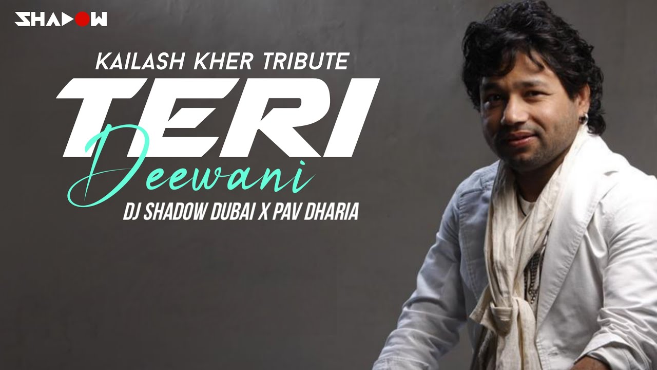 Teri Deewani  DJ Shadow Dubai X Pav Dharia  Kailash Kher Tribute