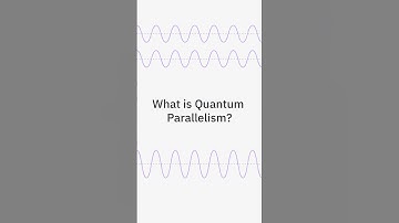 What is Quantum Parallelism?