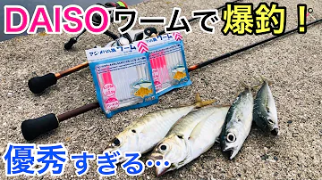 ダイソー100円クローワームでチニングしてきました ダイソー100円クローワームでチニングしてきました