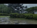 비오는 풍경 불면증과 수면을 위한 최고의 빗소리 ASMR 휴식 집중