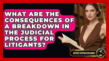 What Are the Consequences of a Breakdown in the Judicial Process for Litigants?