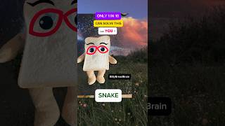 SNAKE - Can YOU decode this