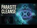 Sleep Healing Music | Parasite Cleanse and Full Body Detoxification