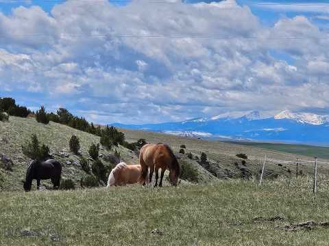 1590 Four Rivers Road, Three Forks, MT home video tour