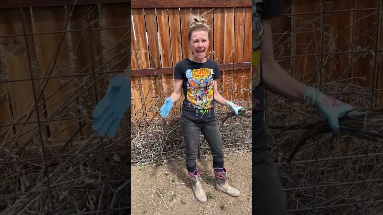 Your City Will Haul This Away for Free — Colorado Fire Risk Most Homeowners Miss #ColoradoFireSafe