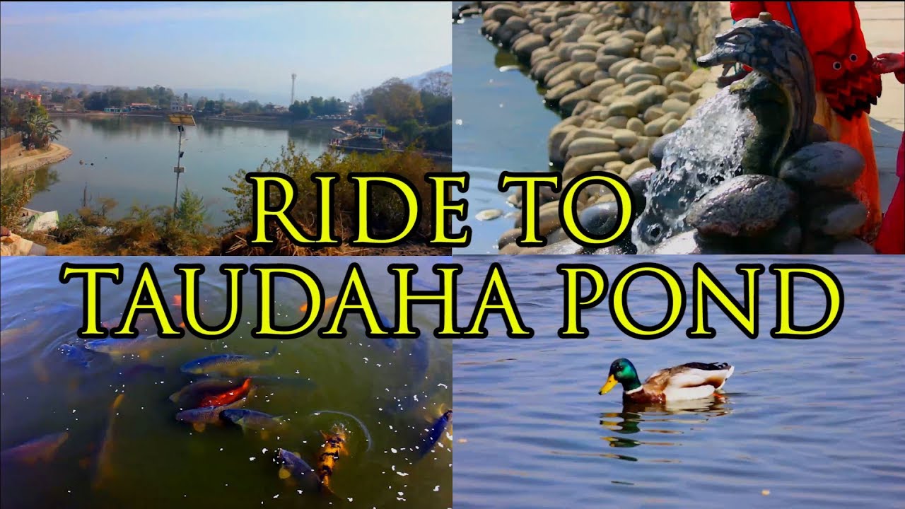 TOP PLACES TO VISIT IN NEPAL // Taudaha Lake ,Kirtipur