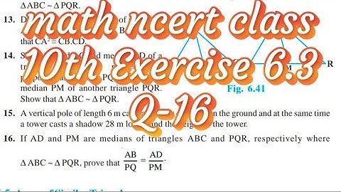 NCERT Class 10 Maths | Prove AD/PM = AB/PQ | Exercise 6.3 Q16 | Triangle Similarity Explained