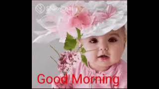 VID 20250127 WA0008