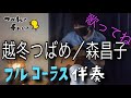 【フル伴奏】越冬つばめ 森昌子 ギター カバー 伴奏