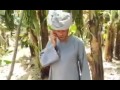 الضوي وديانة القصب