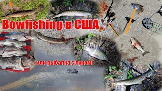 Bowfishing в США или рыбалка с луком