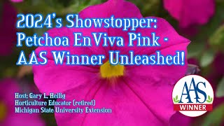 2024s Showstopper: Petchoa EnViva Pink AAS Winner Unleashed