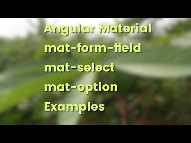 Angular Material Form Controls Select (mat-select) Example - YouTube