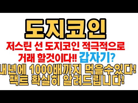   도지코인 일론머스크 저스틴선 시바이누 코인전망 비트코인 이더리움 도지코인