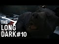 Финальный бой | The Long Dark #10