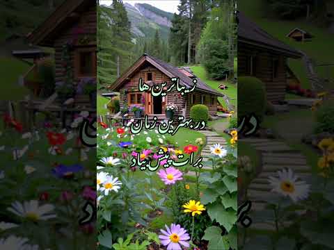 موزیک ویدئو صبح بخیر طبیعت کلیپ کلبه موفقیت شکرگزاری گل متن خاص صبح   