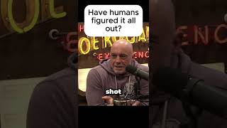 Have humans figured it all out? #jre #joerogan #actionbronson