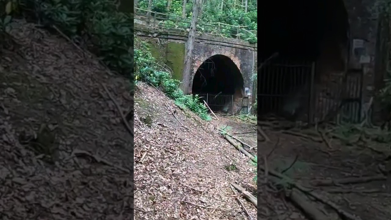 Found A Huge Abandoned Railway Tunnel 