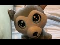 Cute dog