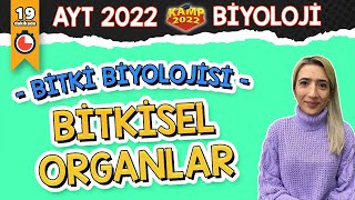 Bitkisel Organlar | AYT Biyoloji #Kamp2022