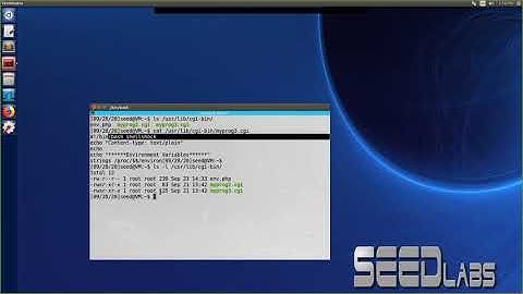 Lab05 SEED 1.0 Shell shock Attack Lab Part 2