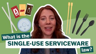 The Basics of Washington's Single-Use Serviceware Law
