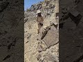 Real Stone Breaking Skills 🧠#smartmining #oldtechniques #manualskills #hardwork
