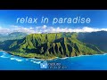 Relax in Paradise HD LIVE STREAM + Soothing Music for Relaxation, Focus, & Sleep