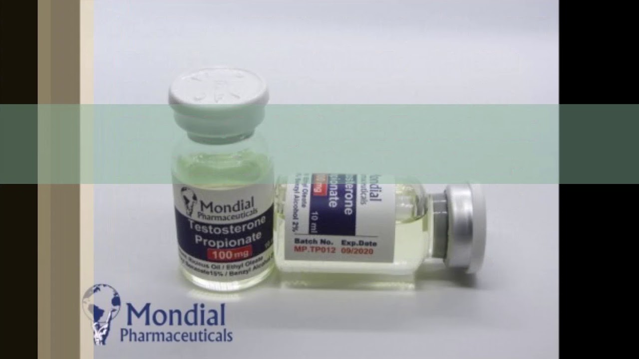 Salient Thoma Gmbh Salient Thoma Gmbh