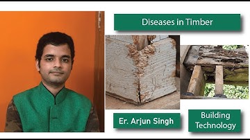 Deceases in Timber by Arjun Singh Structural Engineer