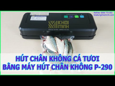 Hút chân không cá tươi bằng máy hút chân không p290 không kén túi - LH: 0936 773 553