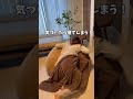 【これは新感覚!一度使ったら戻れない】 #暮らしチャンネル #PR