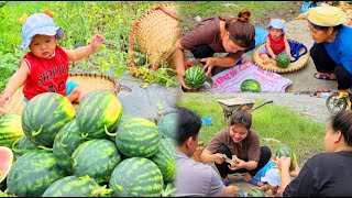 Single mother - harvests melons to sell at the market, many people love the baby and sells very well