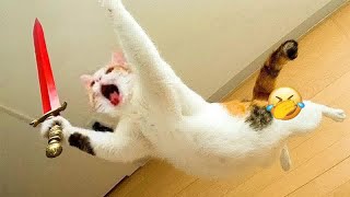 Funniest Cats And Dogs Videos😂- Best Funny Animal Videos 2024😹Part 11