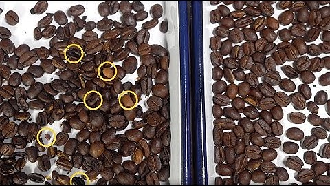 Sōvda Pearl Mini : Color Sorting Green and Roasted Coffee