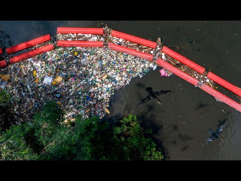 Vídeo: Los Humanos Están Propagando Enfermedades A La Vida Silvestre En La Antártida