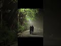 Pehla Ishq 🫀☺️ || 4k Aesthetic Lyrics || Lofi Music || #love #music #song #sadsong #romanticsong