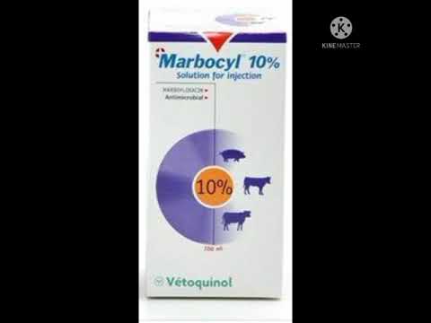 ماربوسيل  مضاد حيوى تنفسى معوى التهاب ضرع