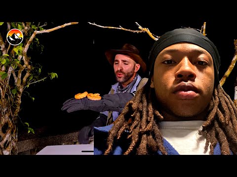 Bite proof? Venomous Snakes Vs Gloves! Reaction
