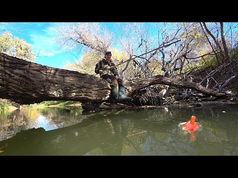 Видео: РЕАЛЬНЫЕ ДЕБРИ. НА ПОПЛАВОК С КОРЯГИ В ТОПЛЯКАХ. Осенняя рыбалка на поплавочную удочку.
