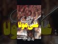 حسین عینی فرد #اصفهان #هشتم_شوال #بقیع #نجف