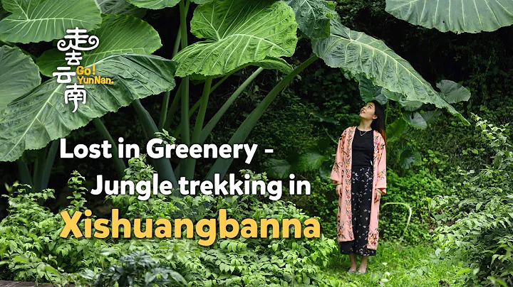 Go! Yunnan: Jungle trekking in SW China's Xishuangbanna - DayDayNews